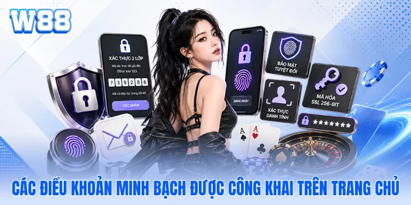 Các điều khoản minh bạch được công khai trên trang chủ
